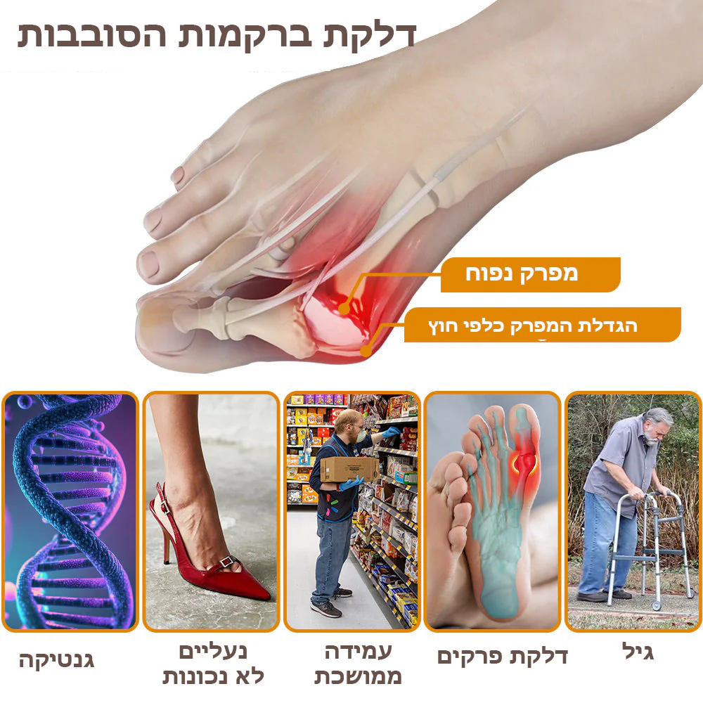 תמונת מוצר 3