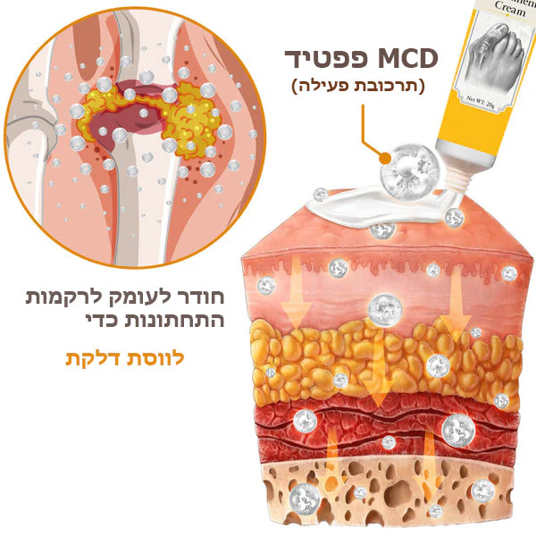 תמונת מוצר 4