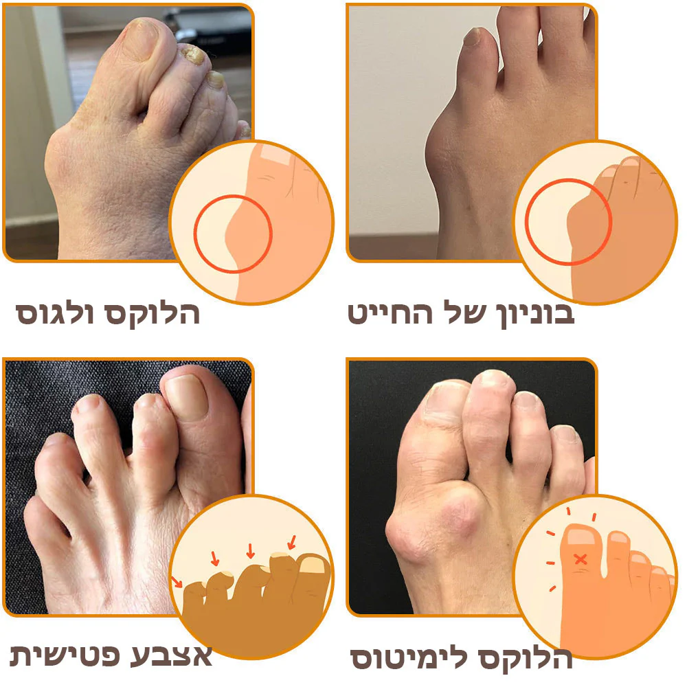 תמונת מוצר 6