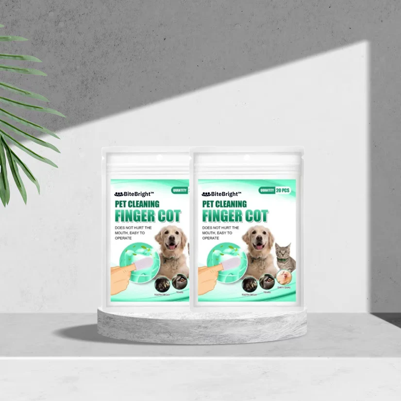 ืชืืื ืช ืืืฆืจ 2